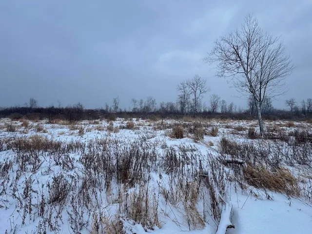 $274,900 | 78.5-acres Alabaster Road, Tawas City, MI 48763