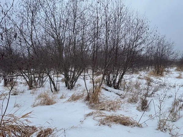 $274,900 | 78.5-acres Alabaster Road, Tawas City, MI 48763