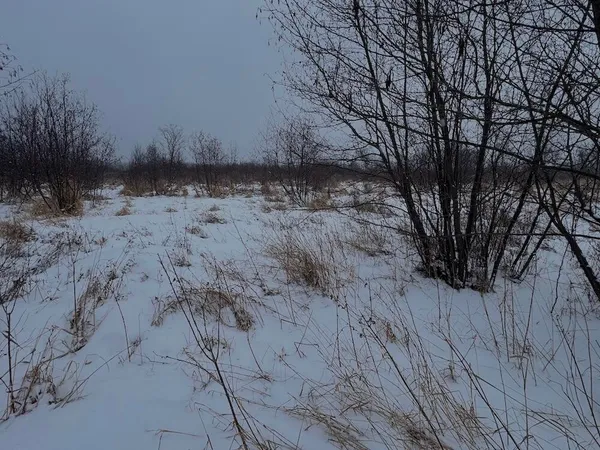 $274,900 | 78.5-acres Alabaster Road, Tawas City, MI 48763