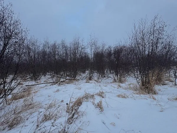 $274,900 | 78.5-acres Alabaster Road, Tawas City, MI 48763