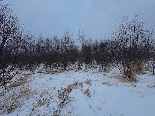 $274,900 | 78.5-acres Alabaster Road, Tawas City, MI 48763