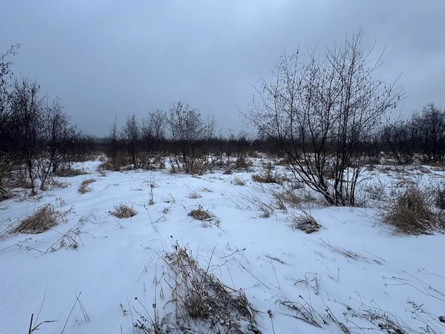 $274,900 | 78.5-acres Alabaster Road, Tawas City, MI 48763