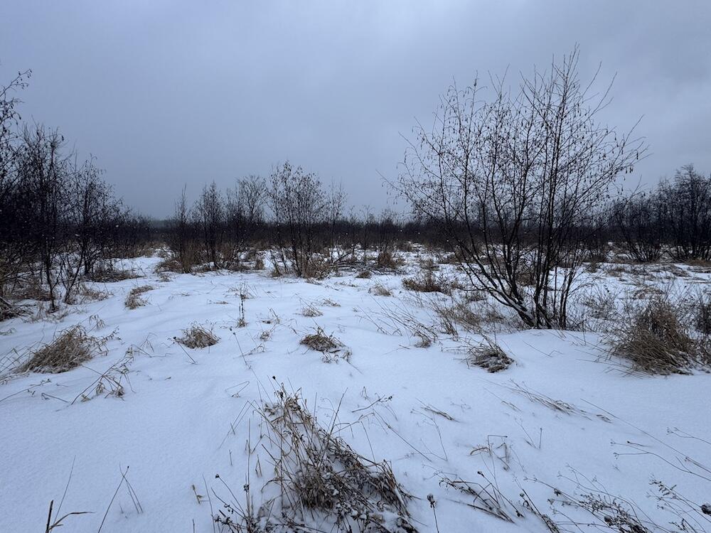 78.5-acres Alabaster Road Tawas City, MI 48763 - Photo 47 of 91 IMG_8778