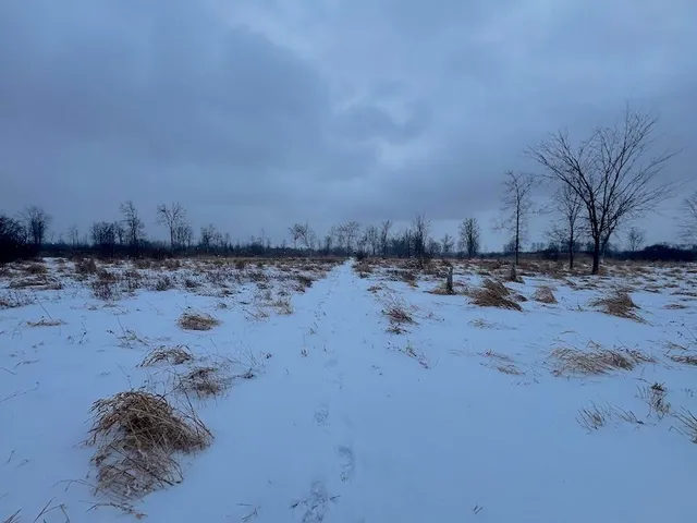 $274,900 | 78.5-acres Alabaster Road, Tawas City, MI 48763