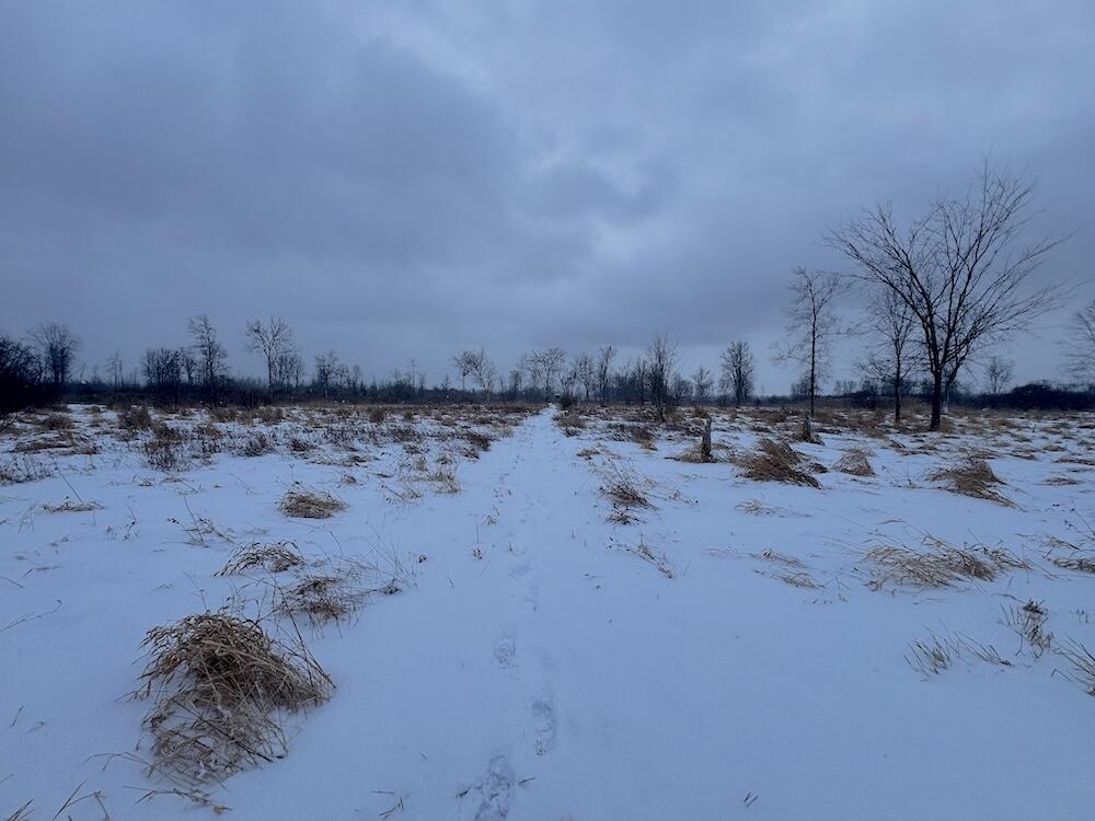 78.5-acres Alabaster Road Tawas City, MI 48763 - Photo 48 of 91 IMG_8779