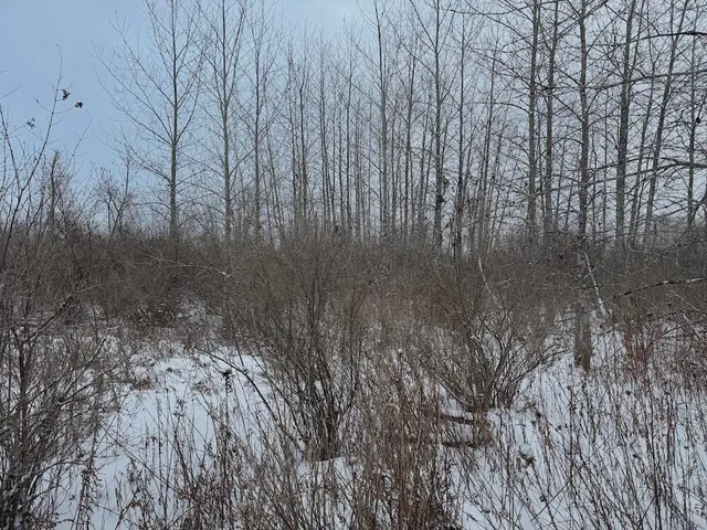 $274,900 | 78.5-acres Alabaster Road, Tawas City, MI 48763