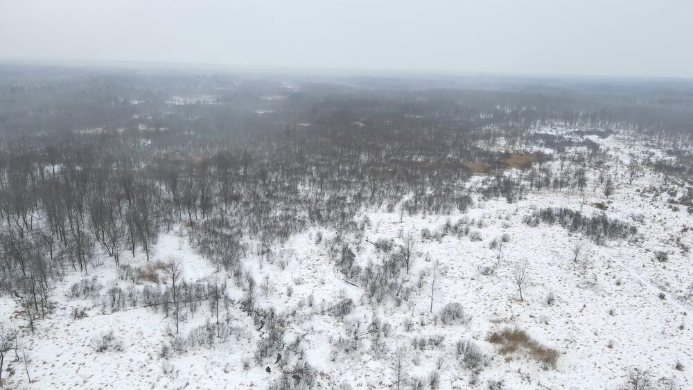 78.5-acres Alabaster Road Tawas City, MI 48763 - Photo 5 of 91 DJI_0435