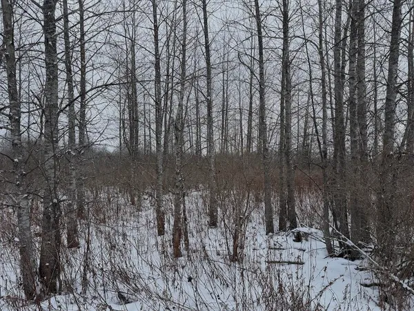 $274,900 | 78.5-acres Alabaster Road, Tawas City, MI 48763