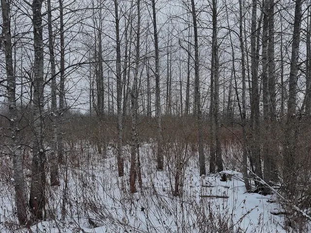 $274,900 | 78.5-acres Alabaster Road, Tawas City, MI 48763