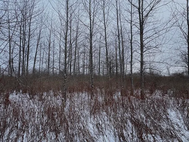 $274,900 | 78.5-acres Alabaster Road, Tawas City, MI 48763