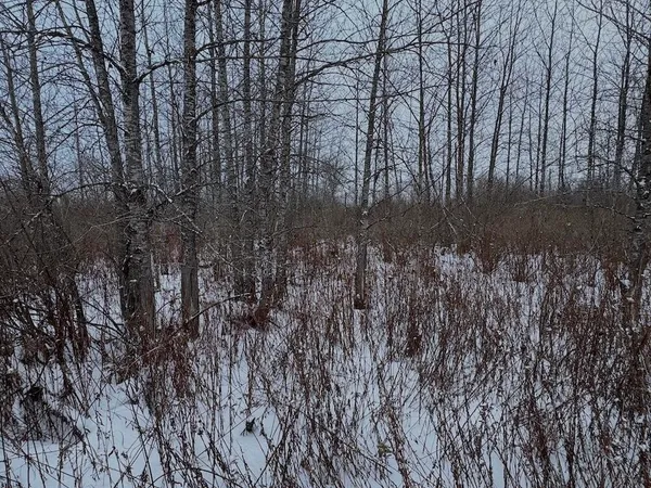 $274,900 | 78.5-acres Alabaster Road, Tawas City, MI 48763