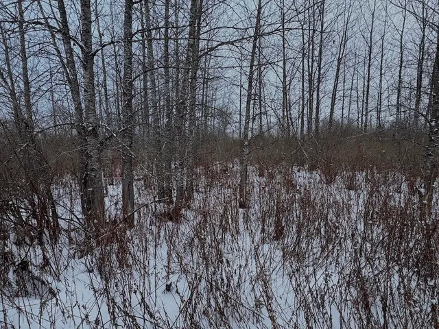 $274,900 | 78.5-acres Alabaster Road, Tawas City, MI 48763