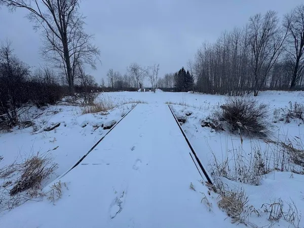 $274,900 | 78.5-acres Alabaster Road, Tawas City, MI 48763