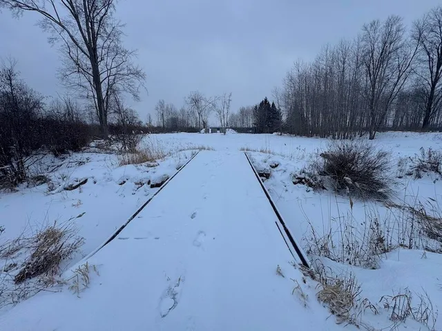 $274,900 | 78.5-acres Alabaster Road, Tawas City, MI 48763