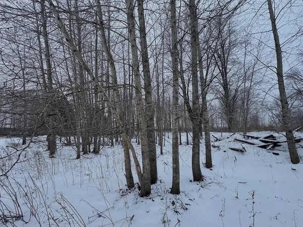 $274,900 | 78.5-acres Alabaster Road, Tawas City, MI 48763