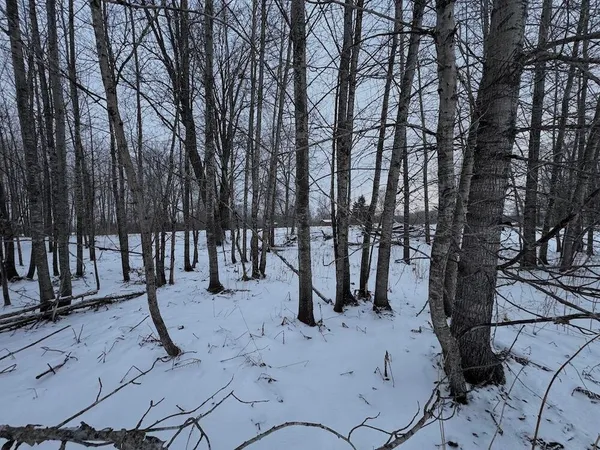 $274,900 | 78.5-acres Alabaster Road, Tawas City, MI 48763