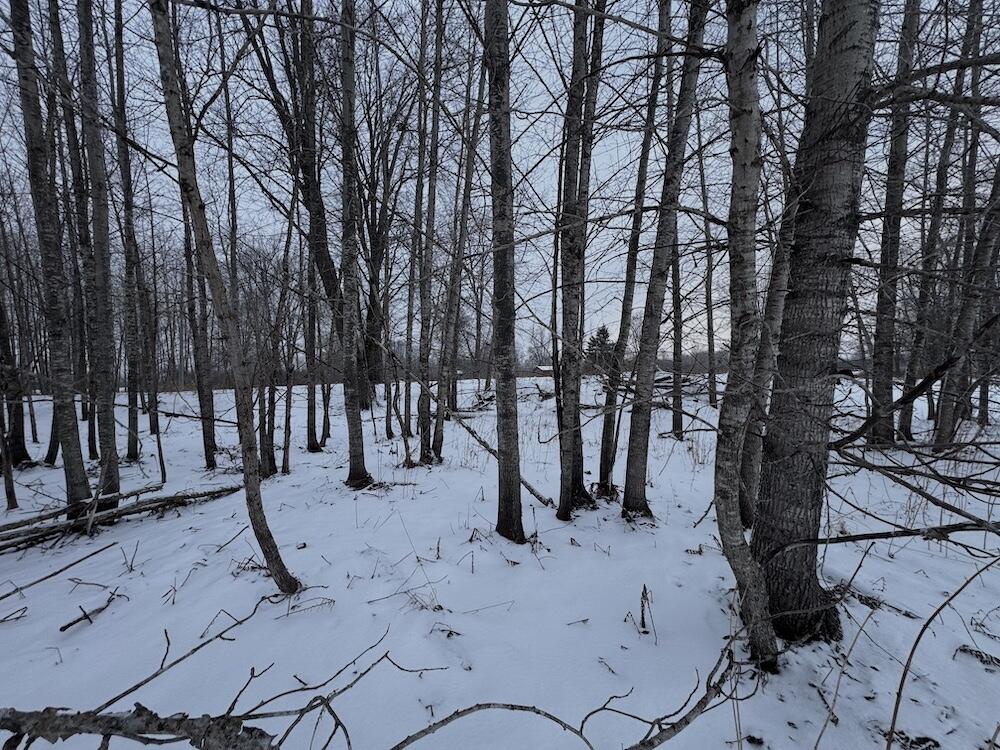 78.5-acres Alabaster Road Tawas City, MI 48763 - Photo 56 of 91 IMG_8787