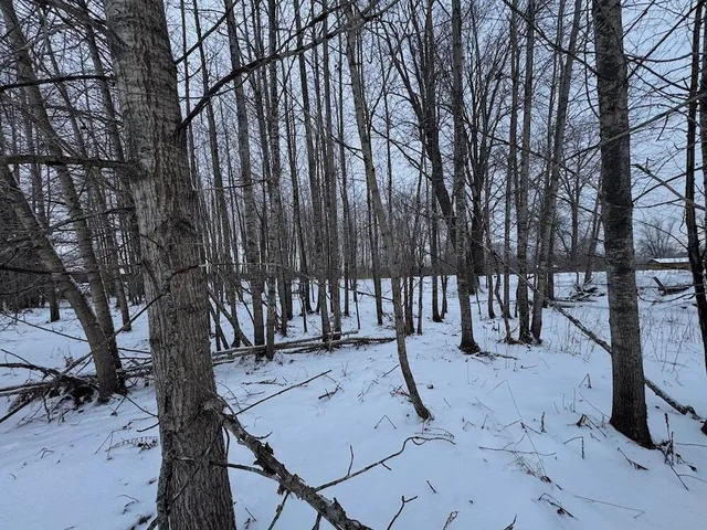 $274,900 | 78.5-acres Alabaster Road, Tawas City, MI 48763