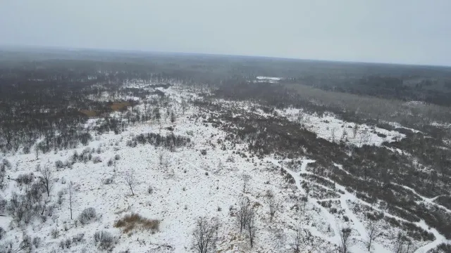 $274,900 | 78.5-acres Alabaster Road, Tawas City, MI 48763