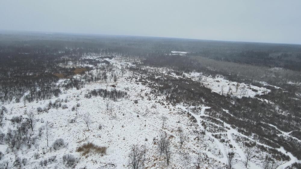78.5-acres Alabaster Road Tawas City, MI 48763 - Photo 6 of 91 DJI_0436