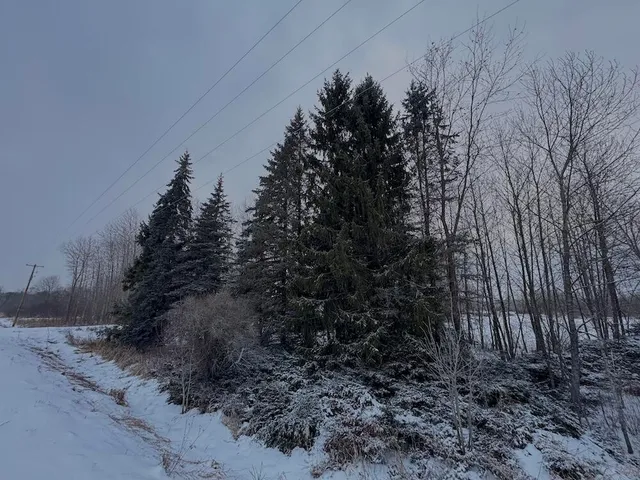 $274,900 | 78.5-acres Alabaster Road, Tawas City, MI 48763