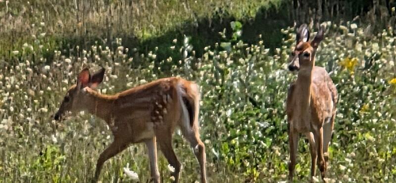 78.5-acres Alabaster Road Tawas City, MI 48763 - Photo 63 of 91 709353693541931203