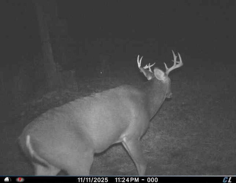 78.5-acres Alabaster Road Tawas City, MI 48763 - Photo 65 of 91 852739591318932115