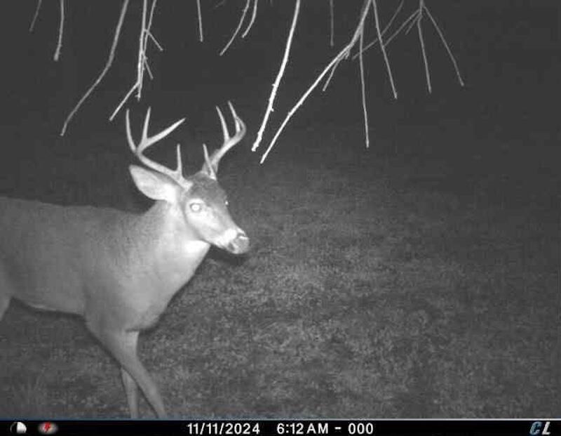 78.5-acres Alabaster Road Tawas City, MI 48763 - Photo 66 of 91 1295258116977993918