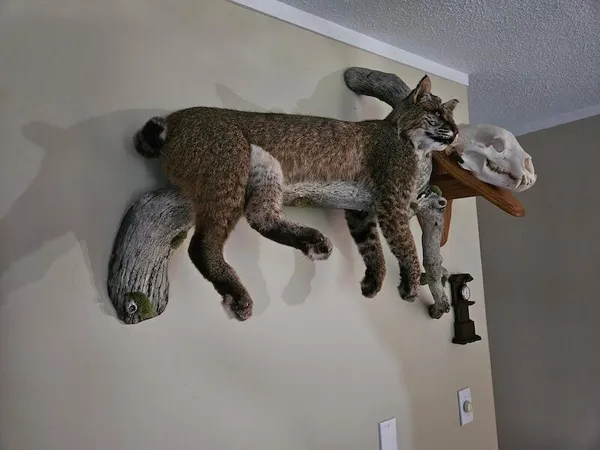 $274,900 | 78.5-acres Alabaster Road, Tawas City, MI 48763