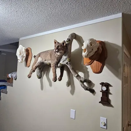 $274,900 | 78.5-acres Alabaster Road, Tawas City, MI 48763