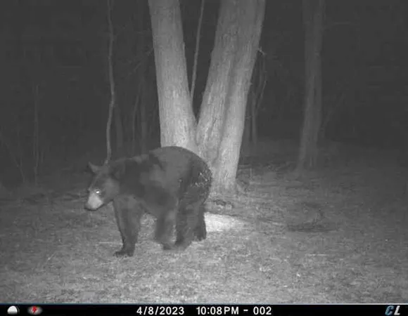 $274,900 | 78.5-acres Alabaster Road, Tawas City, MI 48763