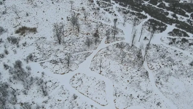 $274,900 | 78.5-acres Alabaster Road, Tawas City, MI 48763