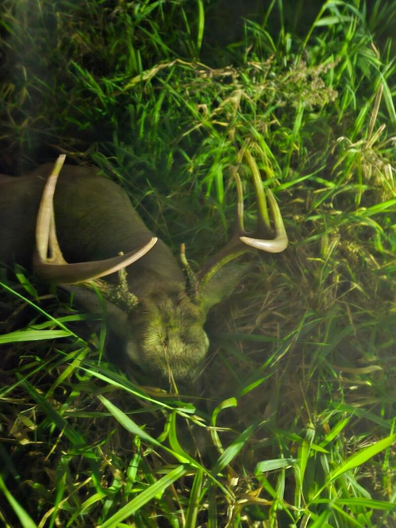 78.5-acres Alabaster Road Tawas City, MI 48763 - Photo 72 of 91 4203230286491269073