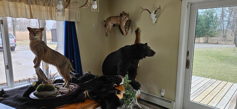 78.5-acres Alabaster Road Tawas City, MI 48763 - Photo 73 of 91 4325272314955316896