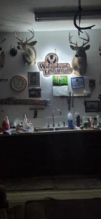 $274,900 | 78.5-acres Alabaster Road, Tawas City, MI 48763