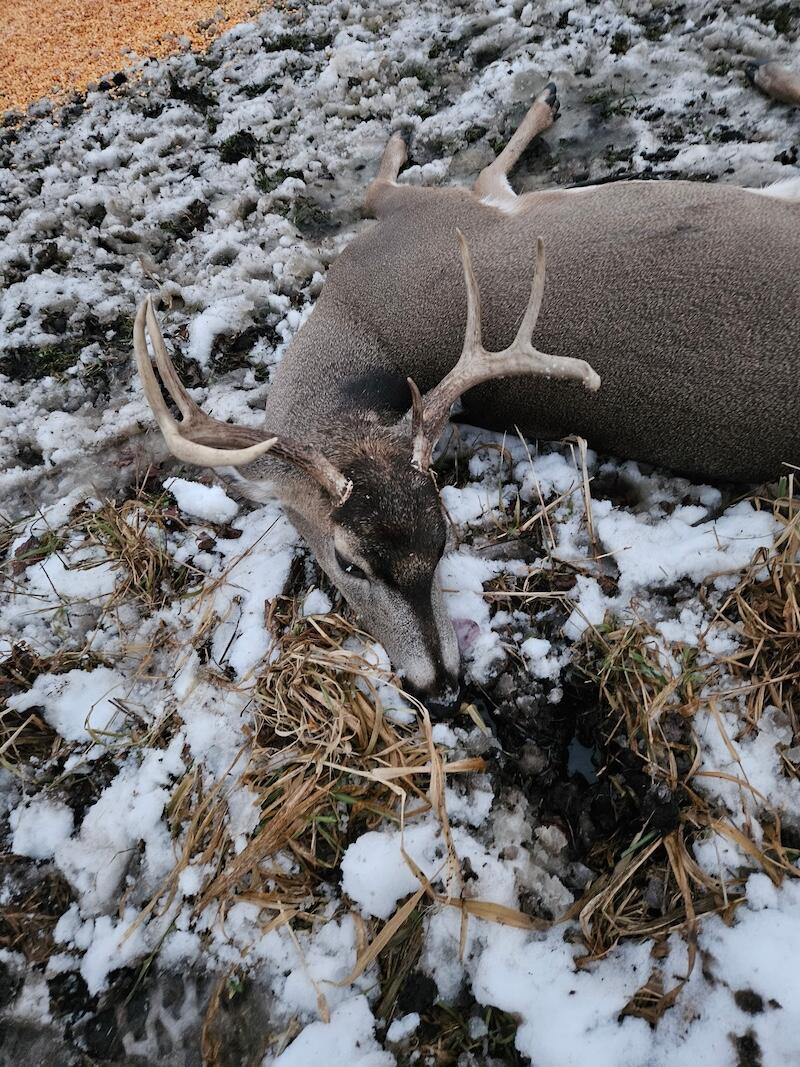 78.5-acres Alabaster Road Tawas City, MI 48763 - Photo 75 of 91 4606089152573247260