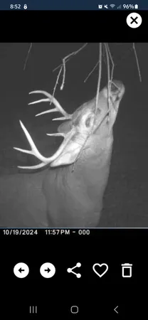 $274,900 | 78.5-acres Alabaster Road, Tawas City, MI 48763