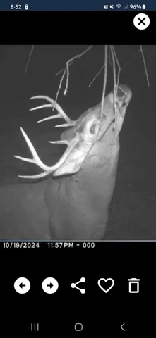 $274,900 | 78.5-acres Alabaster Road, Tawas City, MI 48763