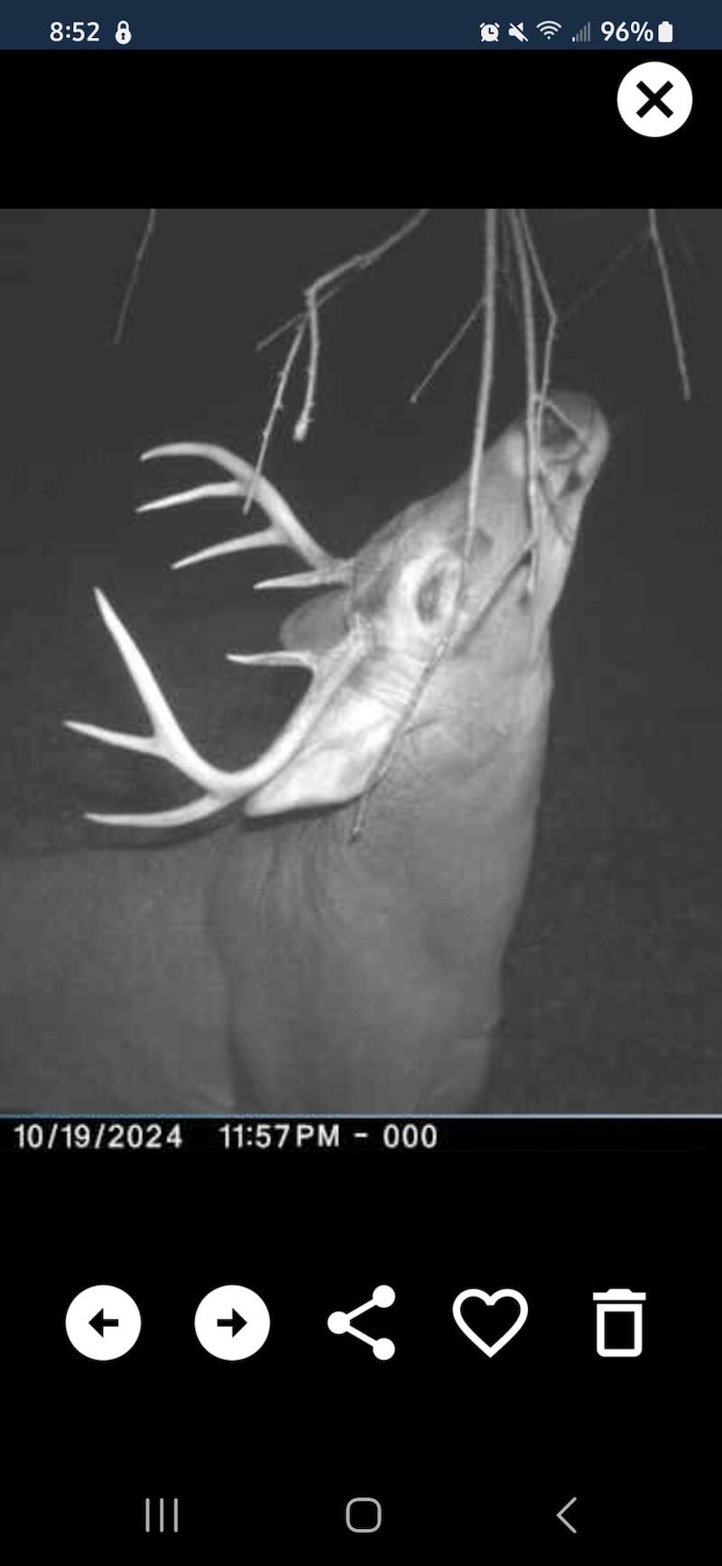 78.5-acres Alabaster Road Tawas City, MI 48763 - Photo 76 of 91 4700738783299434992 2