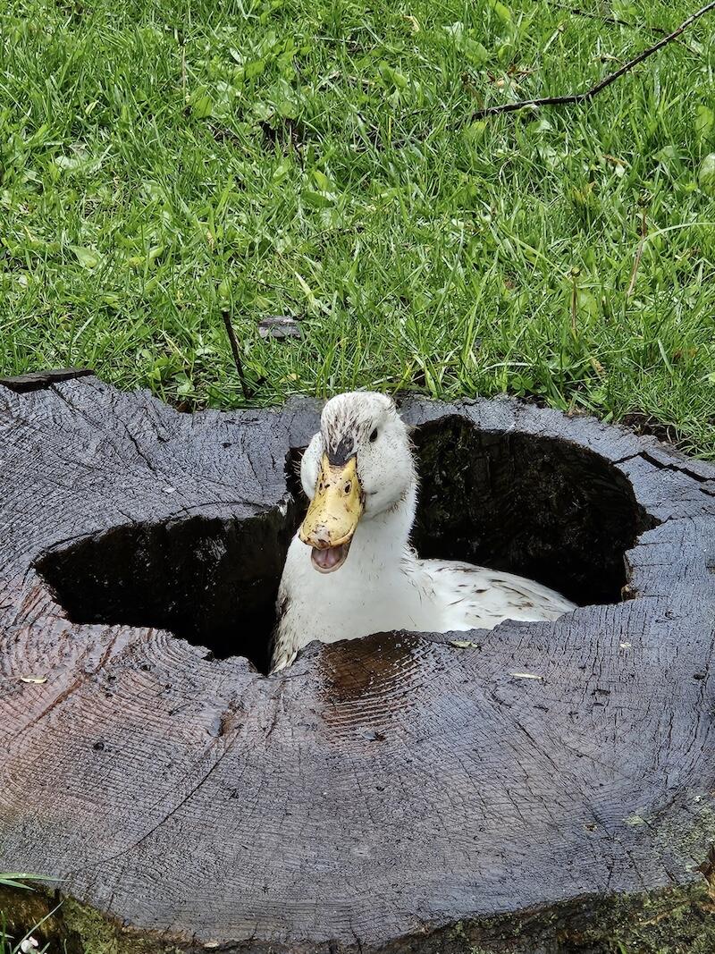 78.5-acres Alabaster Road Tawas City, MI 48763 - Photo 77 of 91 4717222191343118261