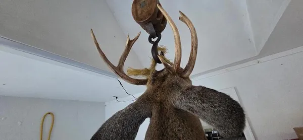 $274,900 | 78.5-acres Alabaster Road, Tawas City, MI 48763