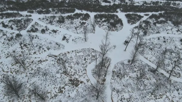 $274,900 | 78.5-acres Alabaster Road, Tawas City, MI 48763