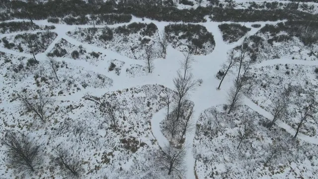 $274,900 | 78.5-acres Alabaster Road, Tawas City, MI 48763