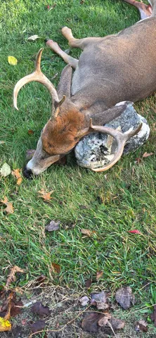 $274,900 | 78.5-acres Alabaster Road, Tawas City, MI 48763