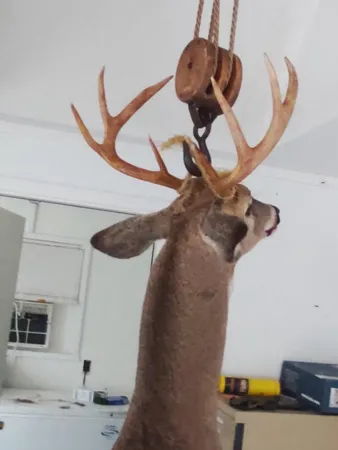 $274,900 | 78.5-acres Alabaster Road, Tawas City, MI 48763