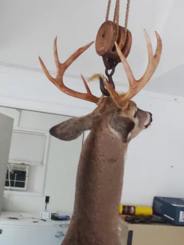 $274,900 | 78.5-acres Alabaster Road, Tawas City, MI 48763