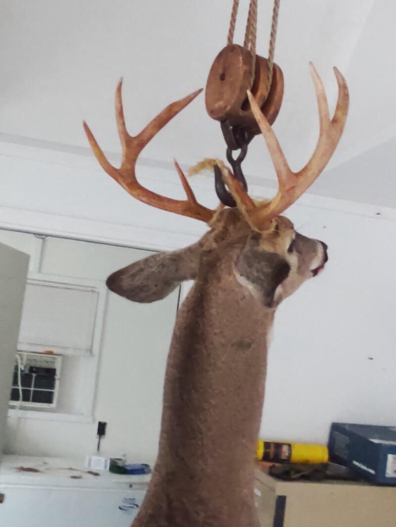 78.5-acres Alabaster Road Tawas City, MI 48763 - Photo 87 of 91 6104128778831343711