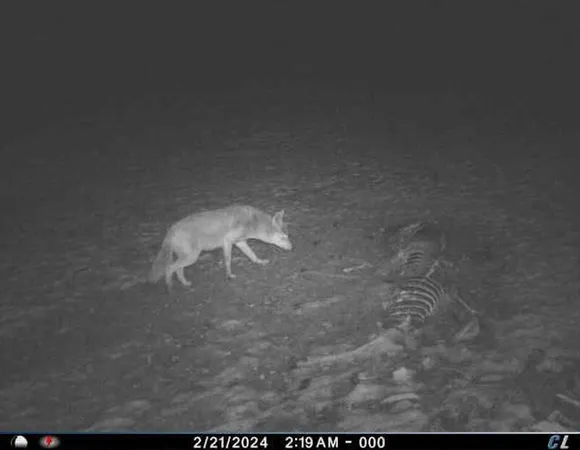 $274,900 | 78.5-acres Alabaster Road, Tawas City, MI 48763