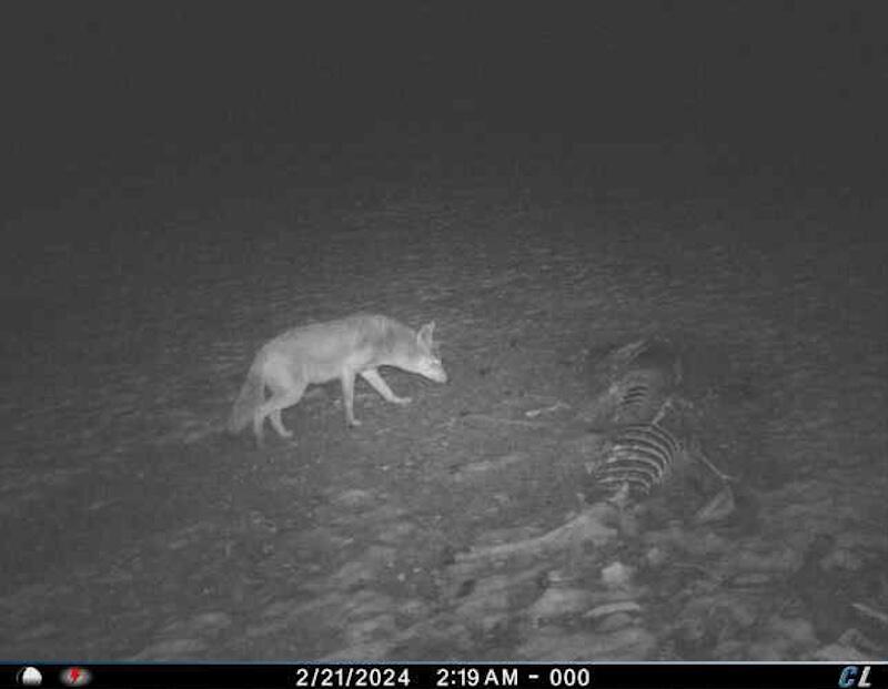 78.5-acres Alabaster Road Tawas City, MI 48763 - Photo 88 of 91 6589696640690178553