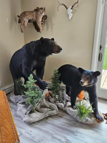 $274,900 | 78.5-acres Alabaster Road, Tawas City, MI 48763